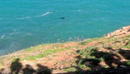 site de rencontre avec des femmes dans la wilaya de jijel